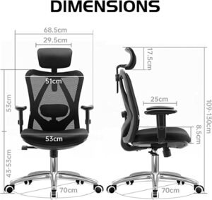 Chaise de bureau ergonomique sihoo